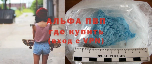 индика Богородск