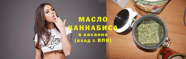 индика Богородск