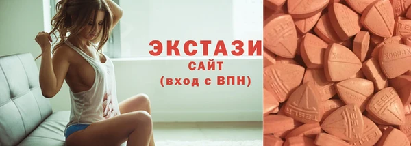 индика Богородск