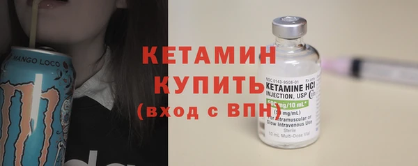 индика Богородск