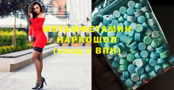 индика Богородск