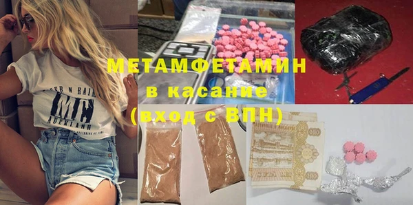 индика Богородск
