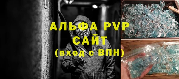 индика Богородск