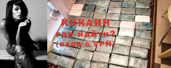 индика Богородск