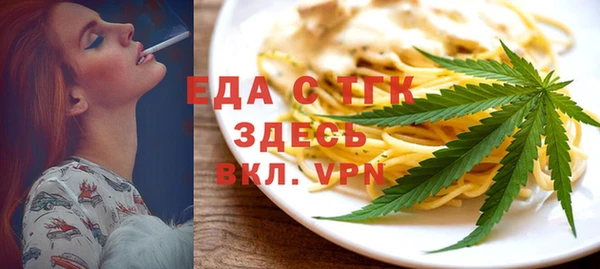 индика Богородск