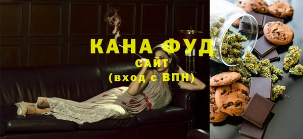 индика Богородск