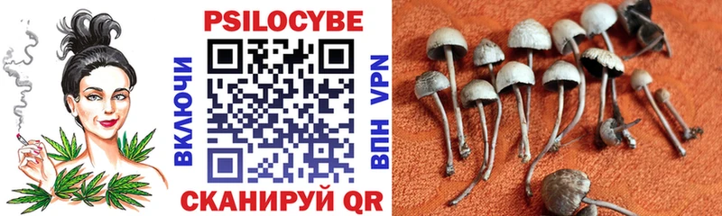 Псилоцибиновые грибы мицелий  Ковдор 